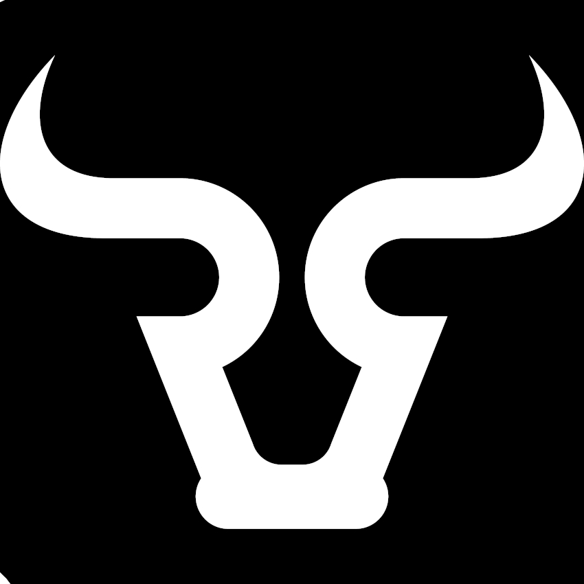 Bullrunners Team