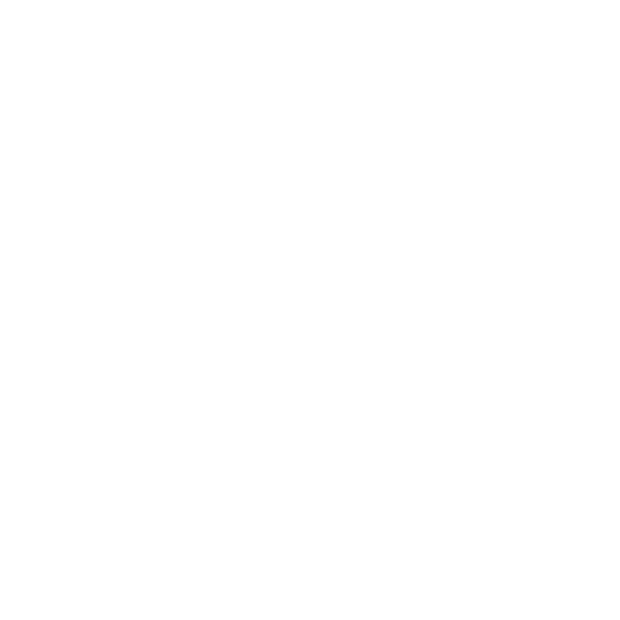 Bullrunners